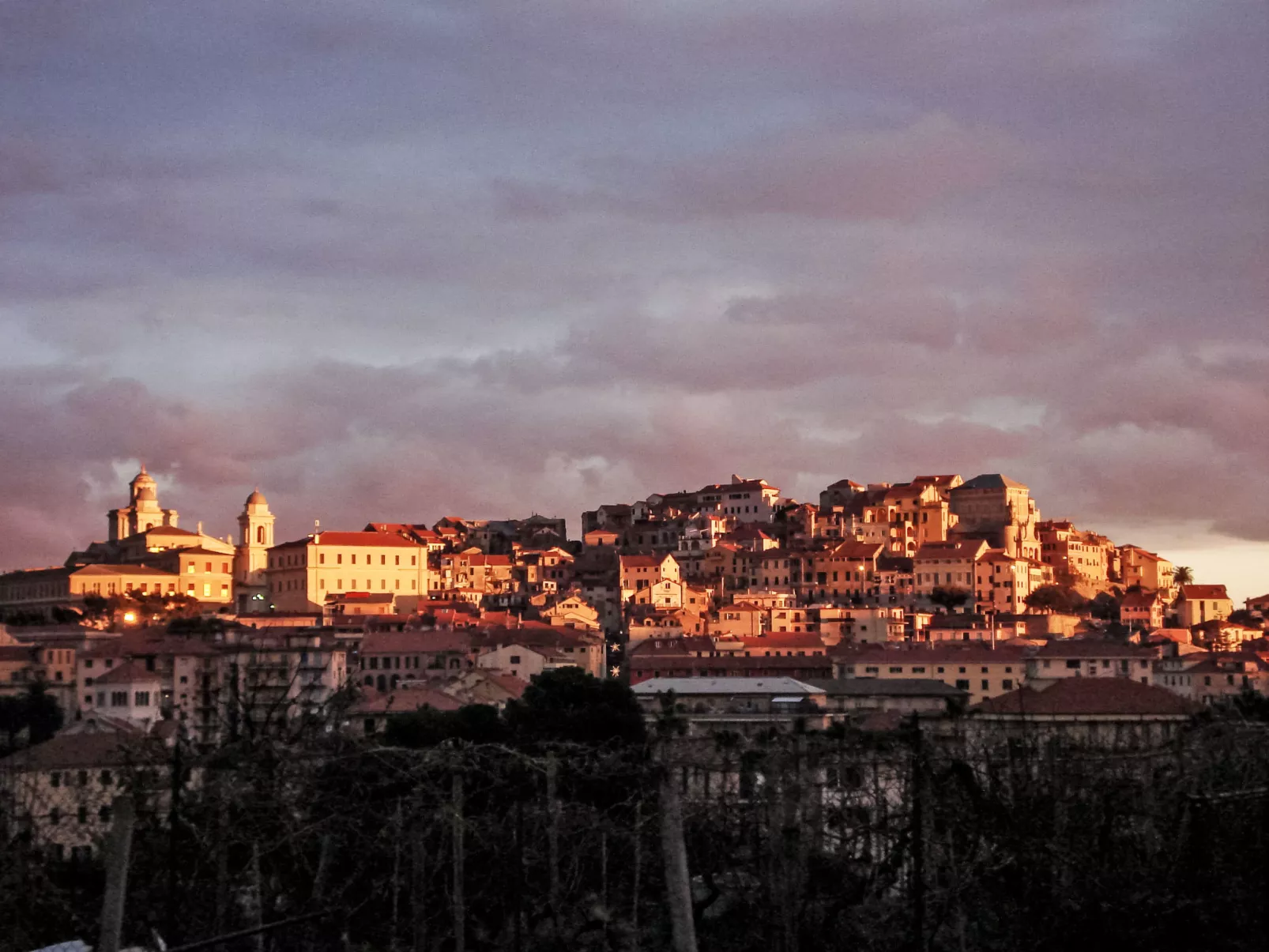 Vermentino-Area