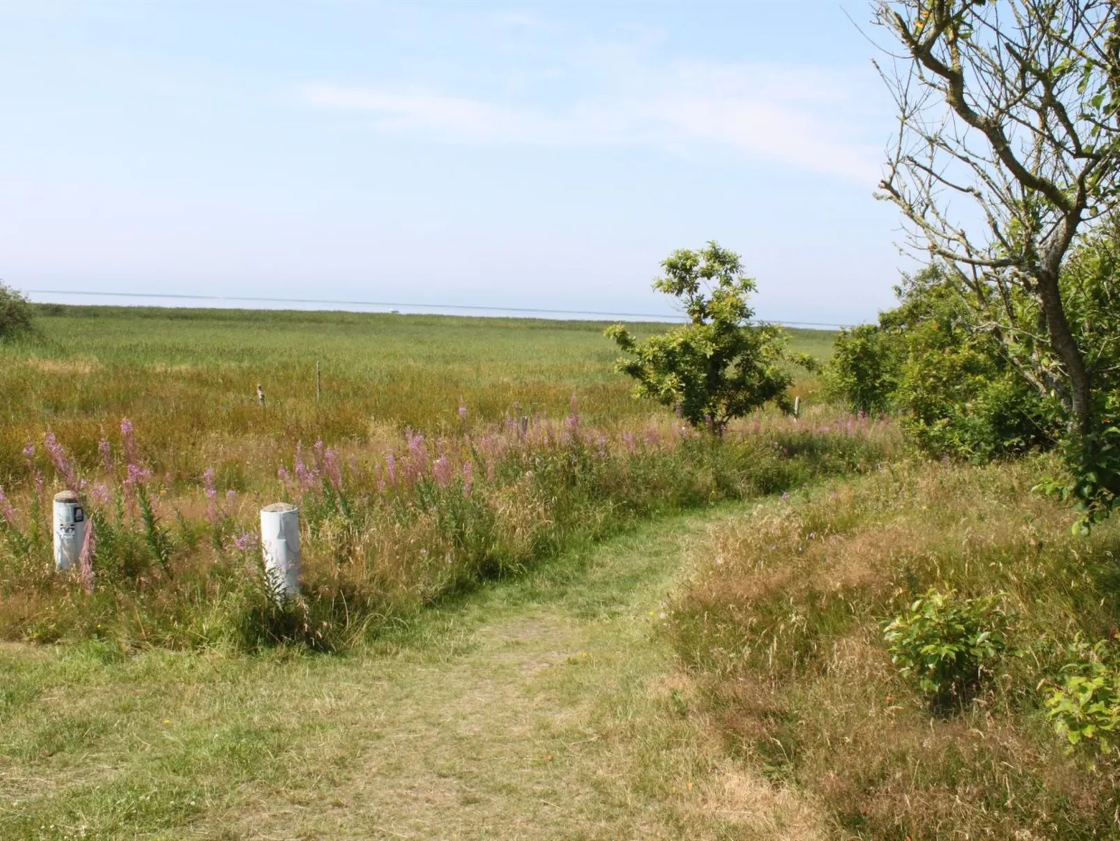 "Pyry" - 400m to the fjord-Dehors