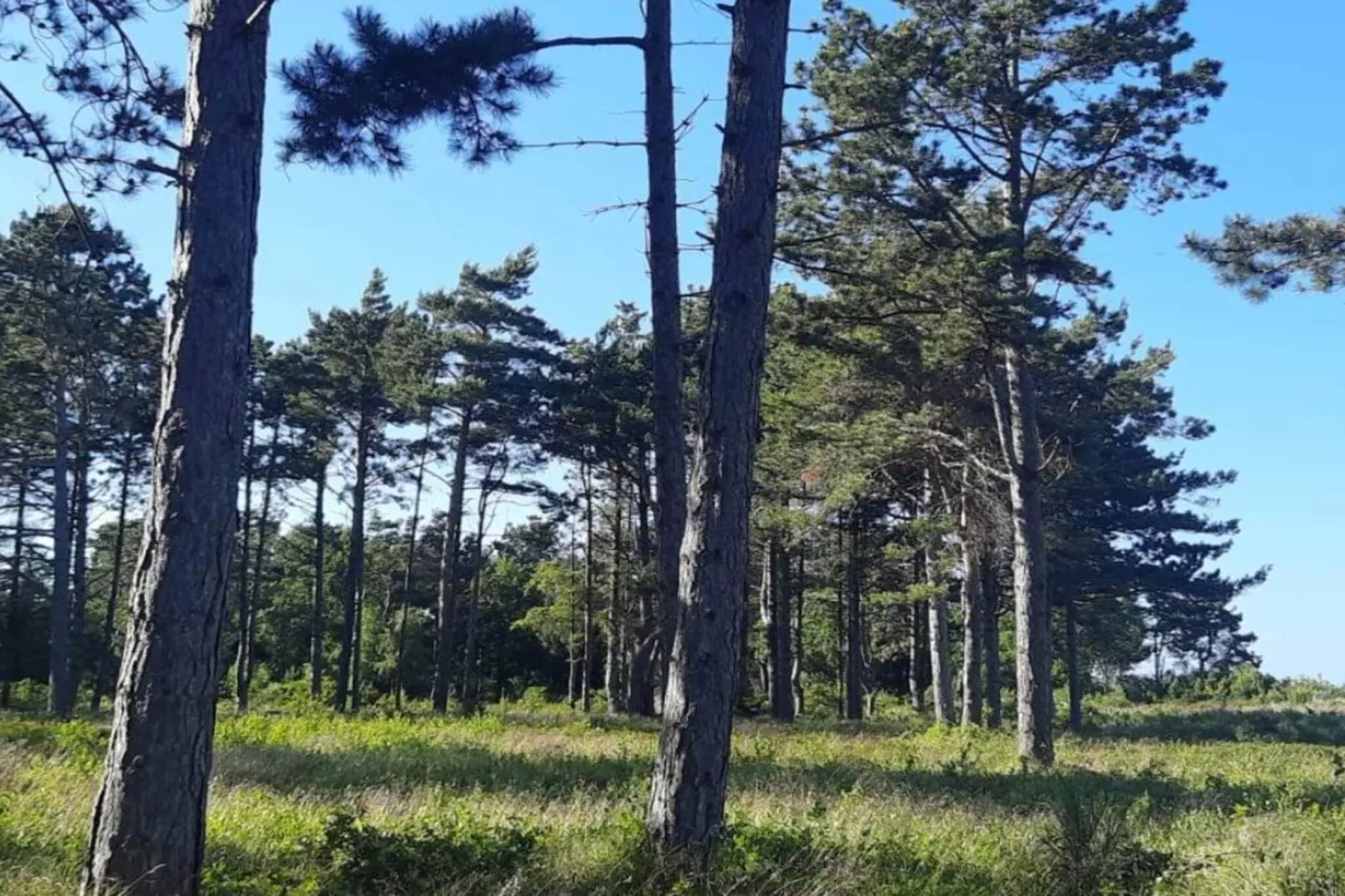 Maison de vacances pour 5 a Rørvig-By Traum-Non tagué