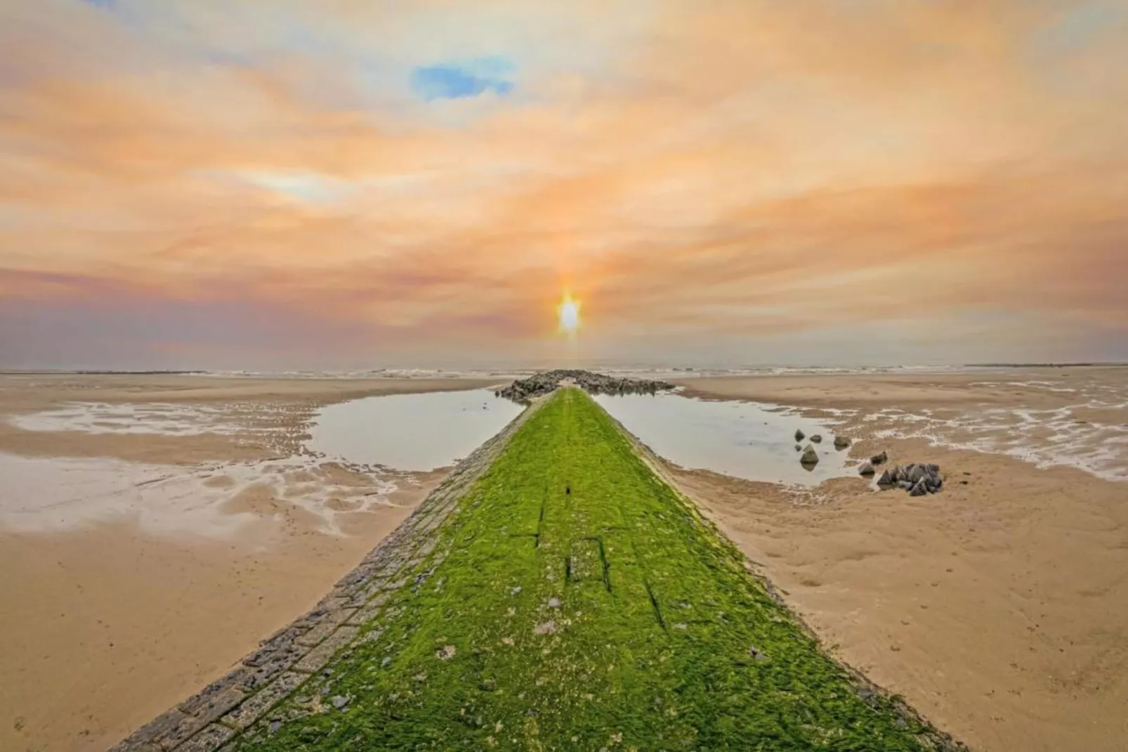 HUIZE NOORDZEE / 0602-Areas within 20km in summer