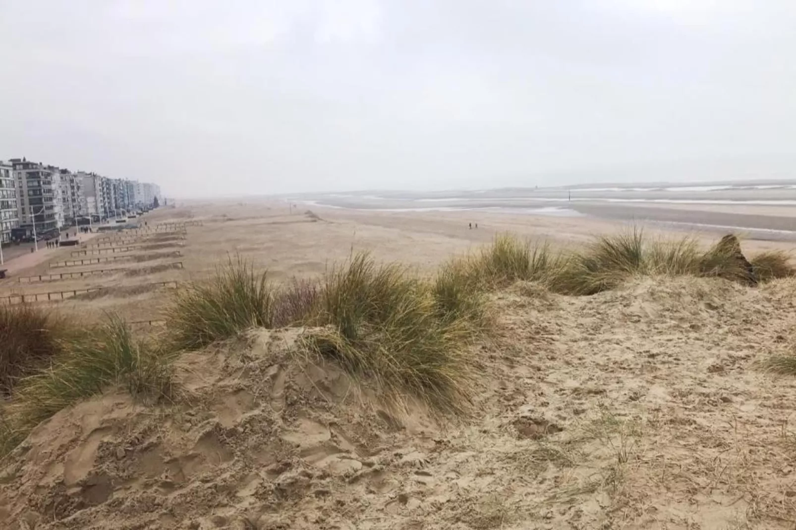 Les Petrels 401G-Gebiete Sommer 1 km