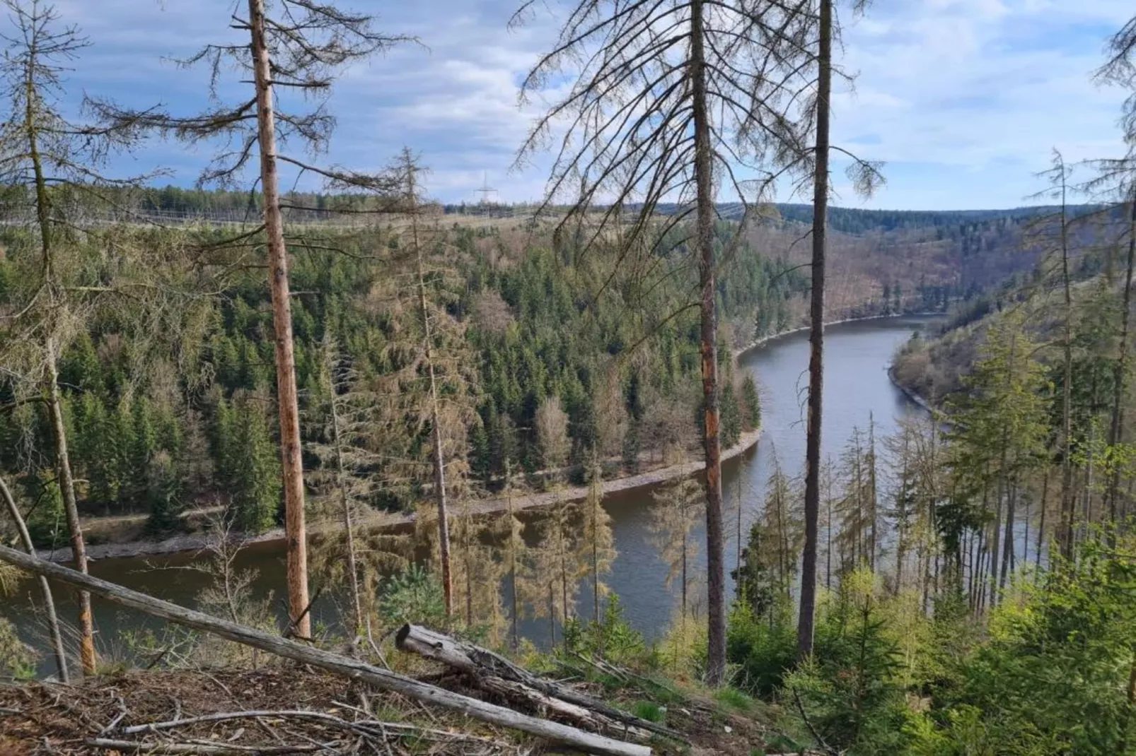Ferienwohnug an der Saale-Areas within 1km in summer