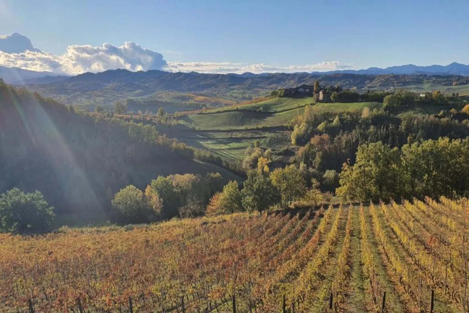BB Montemarzino-Areas within 20km in summer