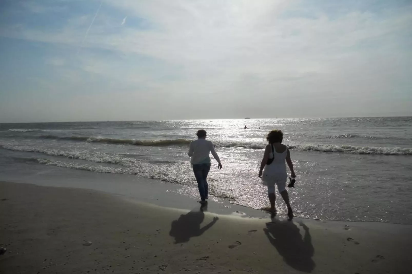 Resort Beach Houses Wijk aan Zee 4-Zones été à 20 km