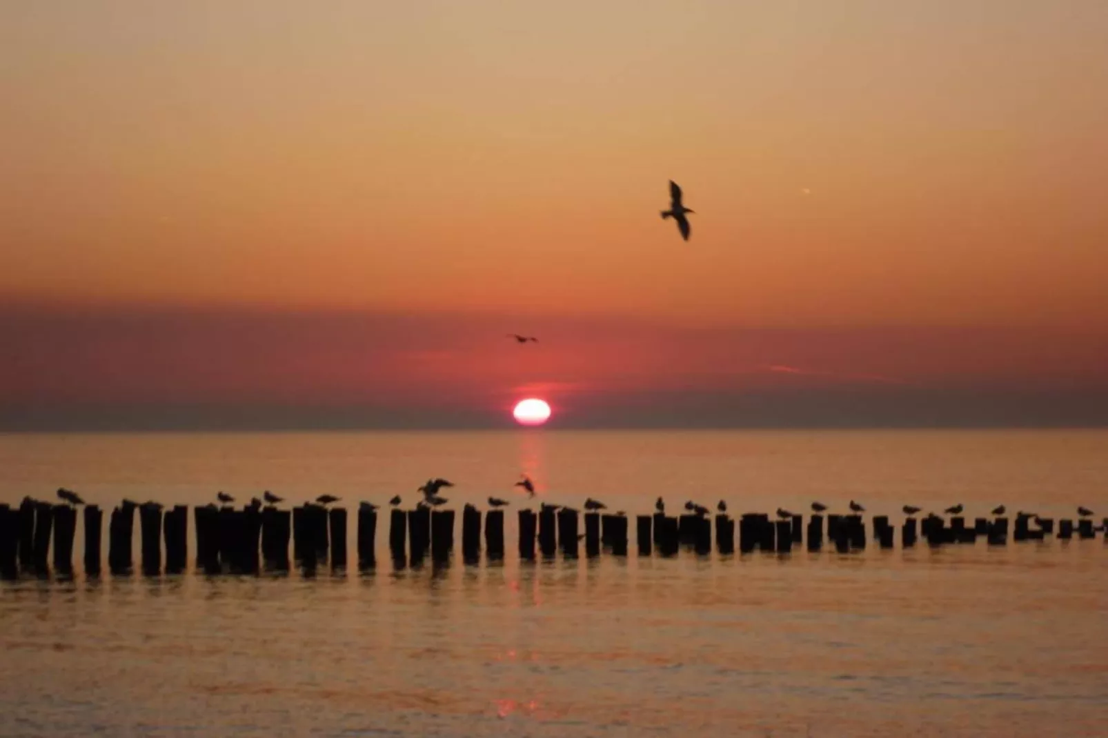 Buitenhof Domburg  16-Gebiete Sommer 20 km