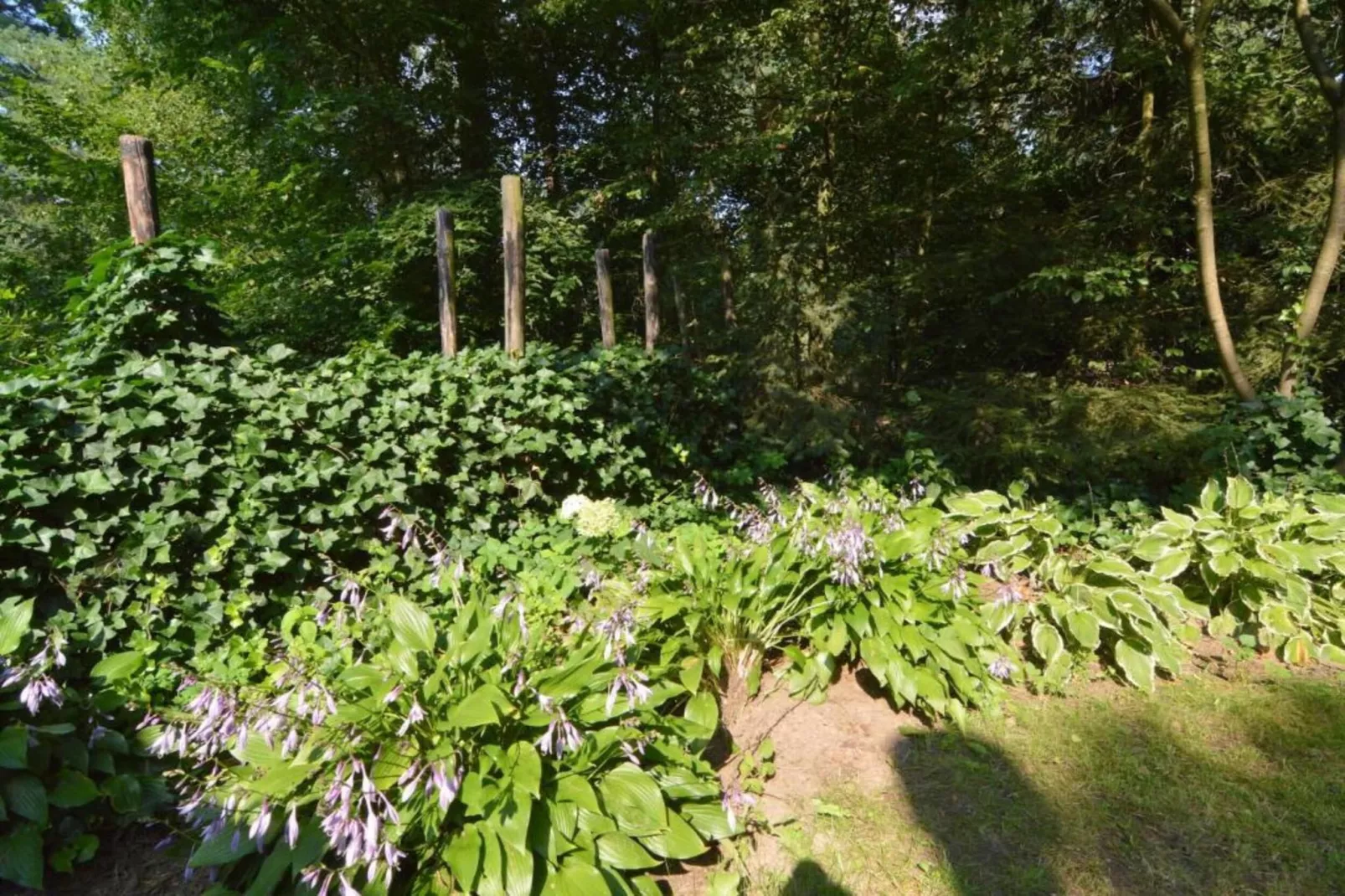 De Weelderik 1-Areas within 20km in summer