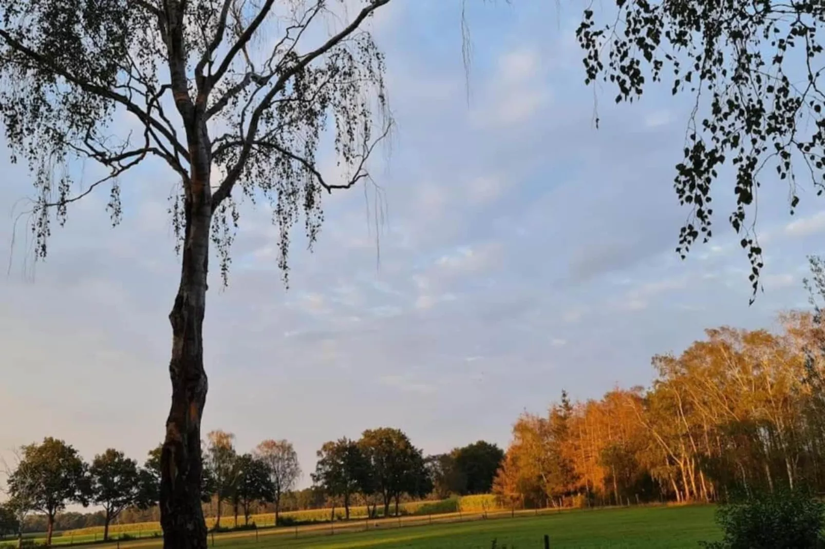 De Weelderik 3-Areas within 20km in summer