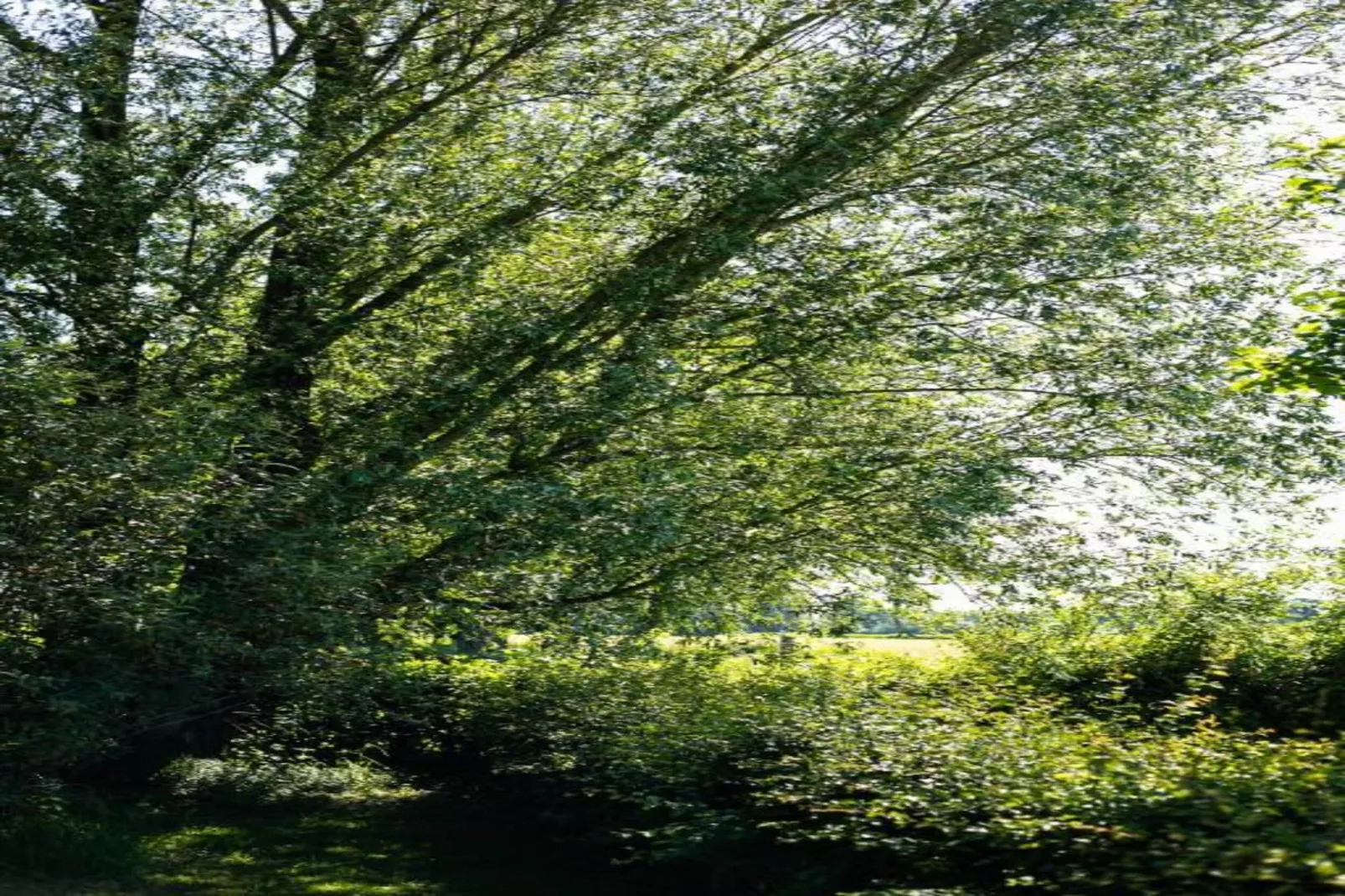 Welskerveen - 4 personen-Areas within 20km in summer