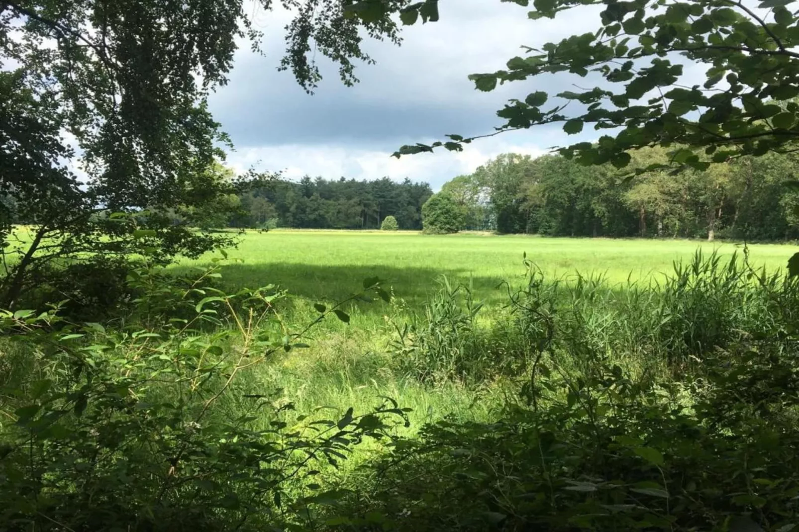 Koe in de Kost 3-Zones été à 1 km