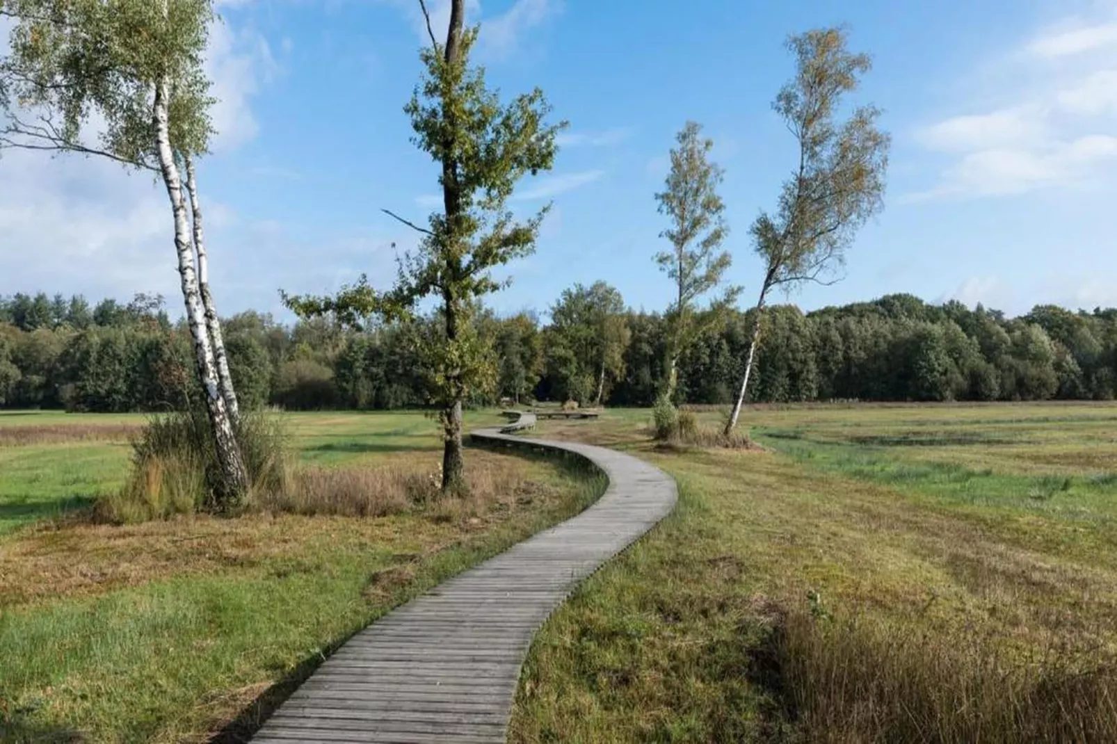 Bospark de Schaapskooi 10-Areas within 20km in summer