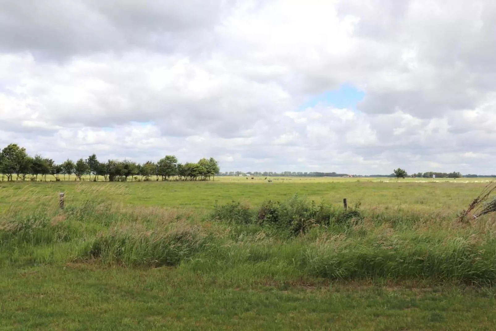 Waterstaete Ossenzijl 4-Areas within 20km in summer