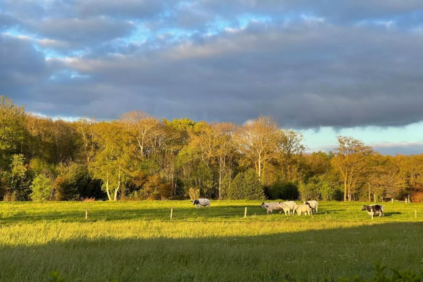 Friese Meren Villa's 21-Areas within 20km in summer
