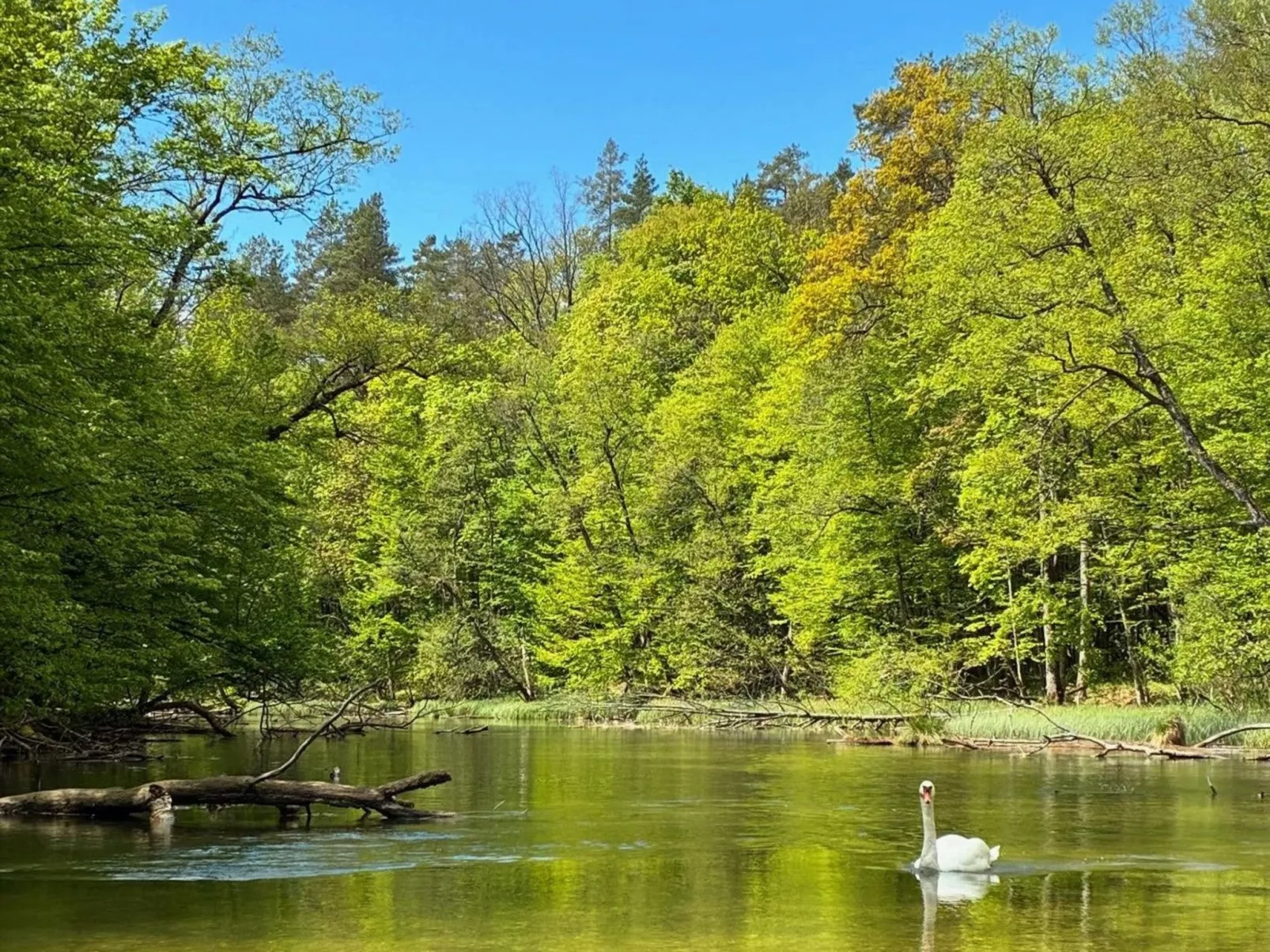 Zagroda nad Krutynią-Dehors