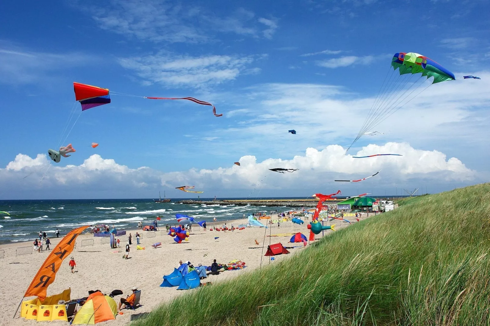 Domki wakacyjne dla 4 osób Mielenko-Areas within 1km in summer