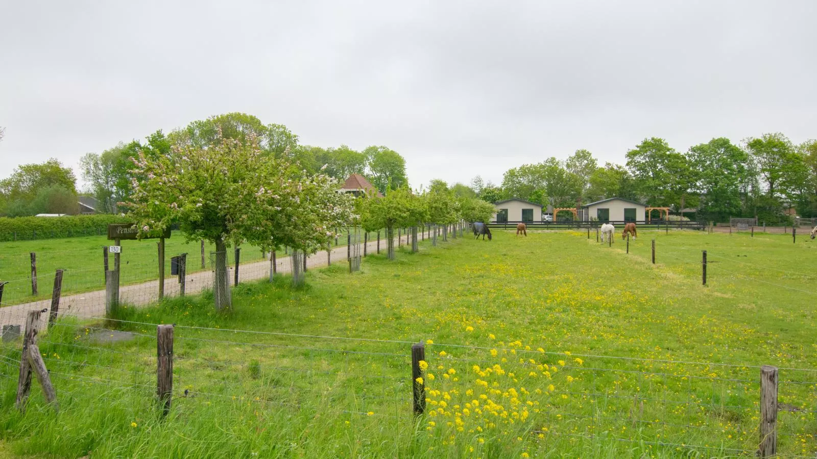 De Zwaluw-Areas summer 1km