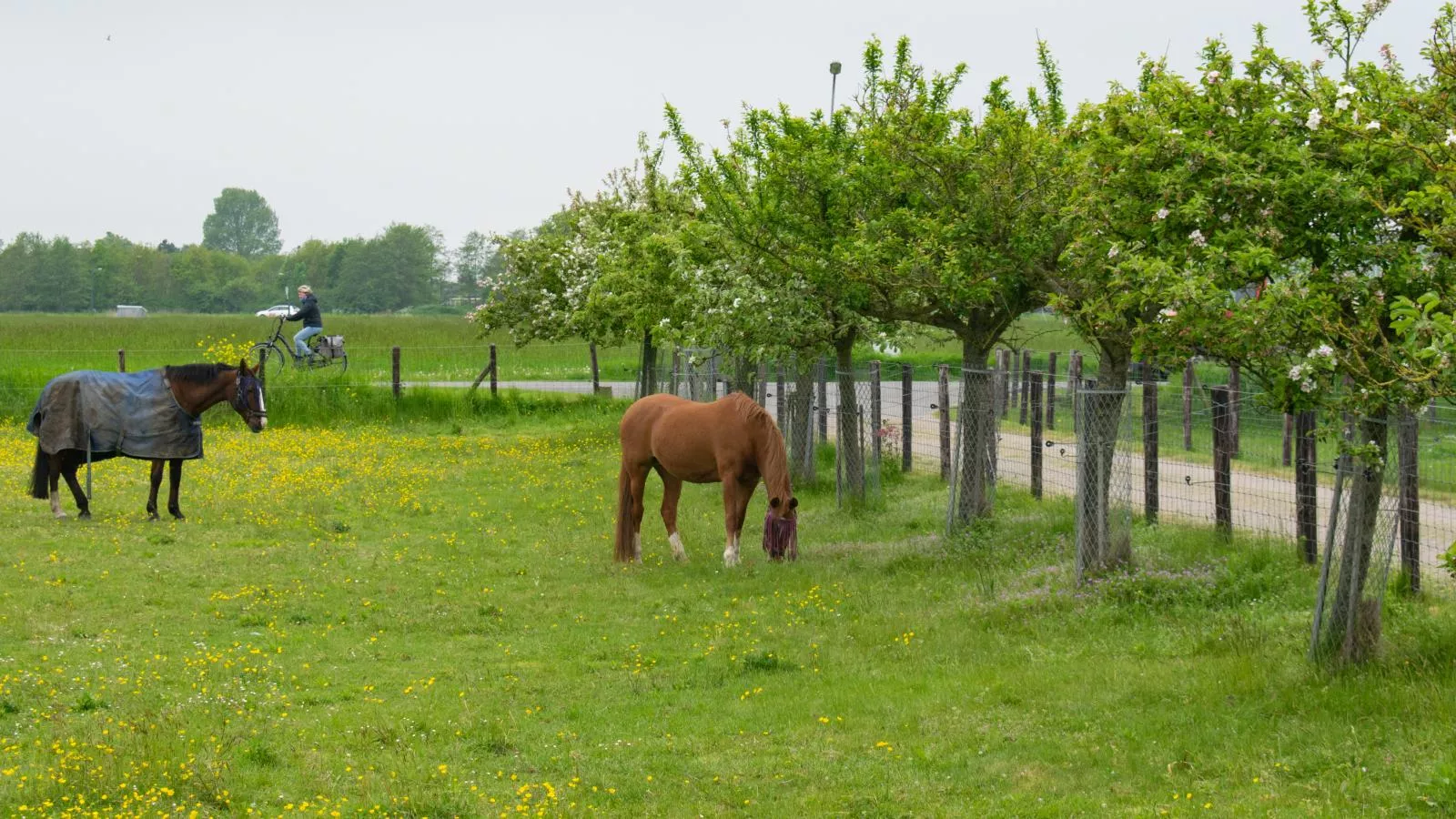 De Zwaluw-View summer