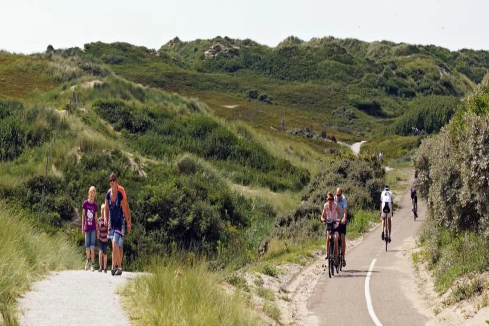Vakantiepark Duinrust 2-Areas within 20km in summer