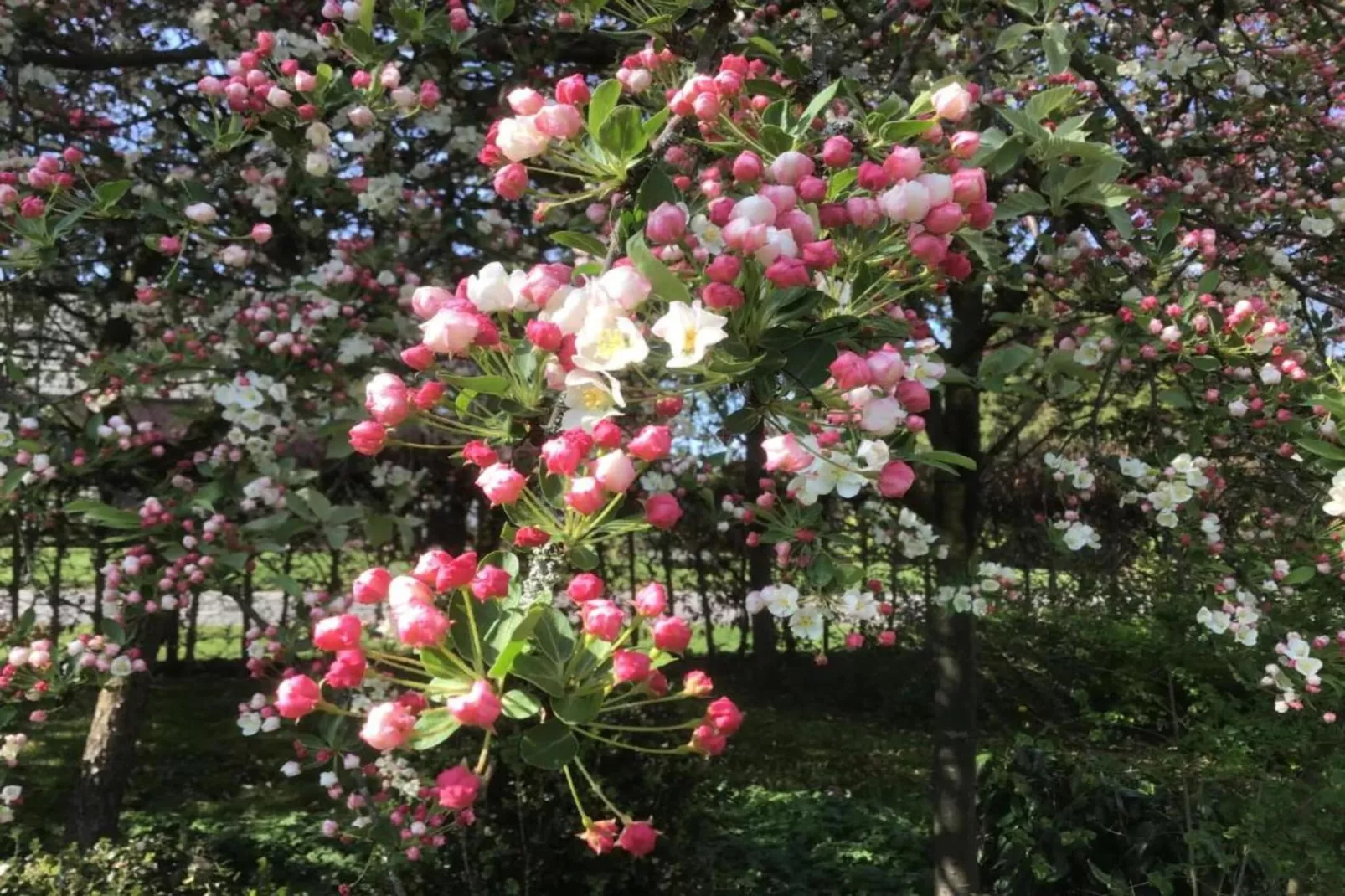 Vakantiepark Molenvelden 9-Gebiete Sommer 20 km