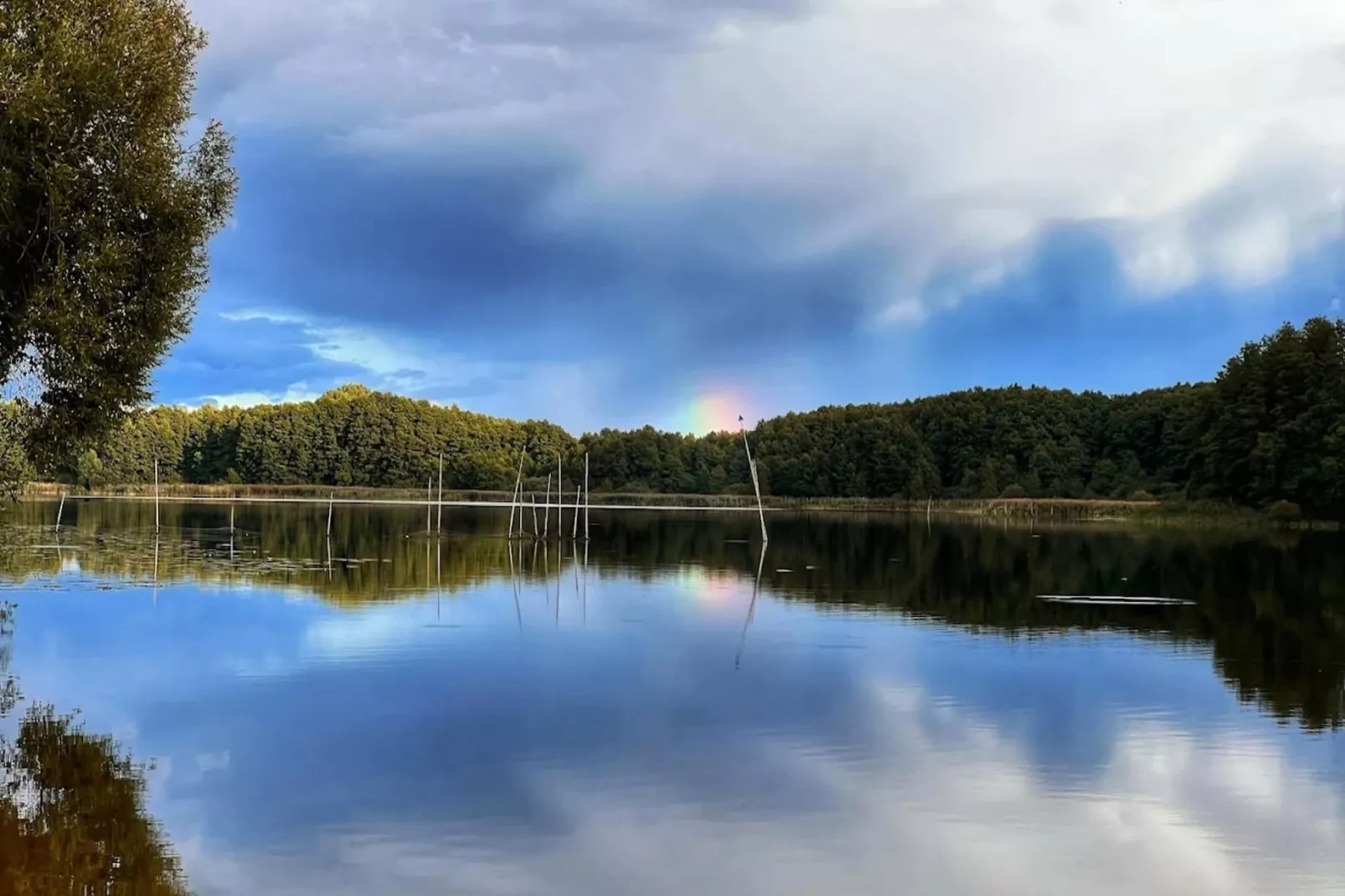 Nr11 - Seeadler 4 Personen-Areas within 5km in summer