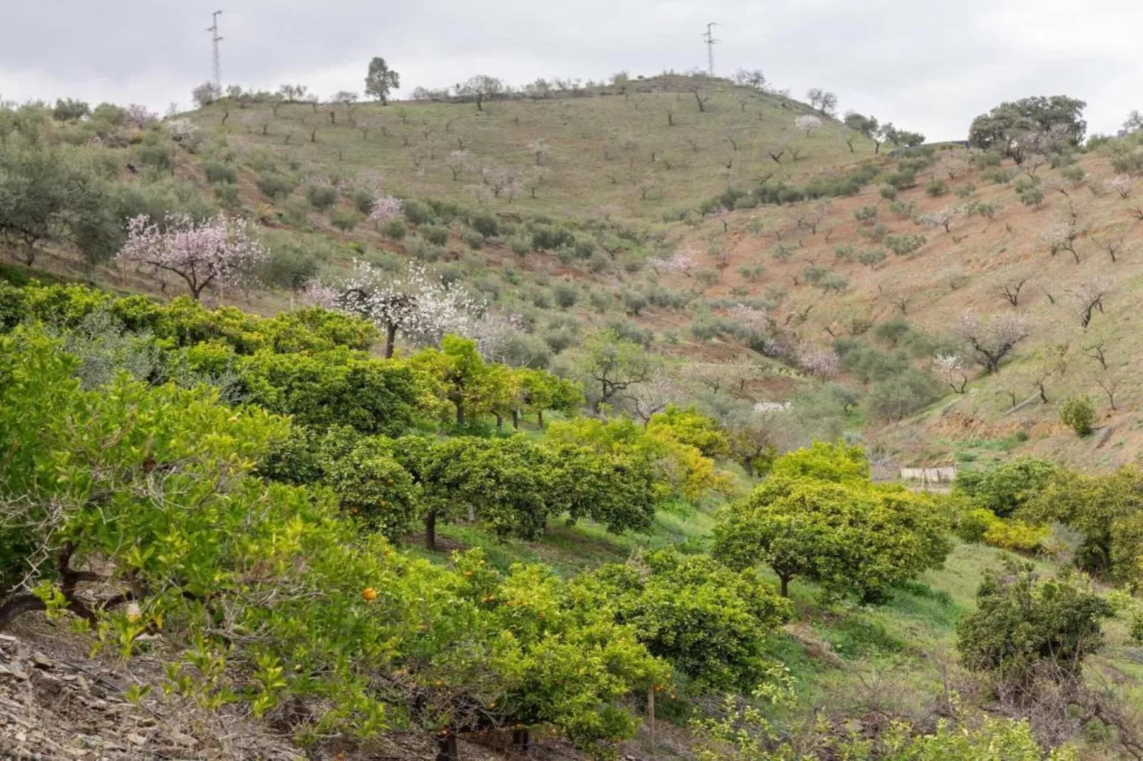 Casa el Cielo-Areas within 5km in summer