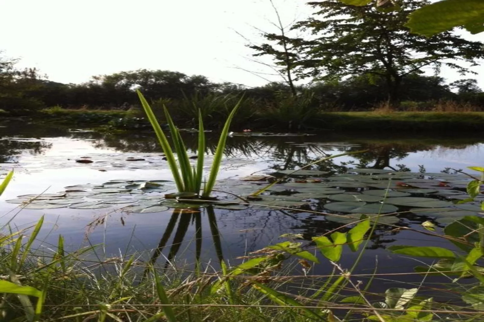 Ferienresort Bad Bentheim 31-Zones été à 20 km