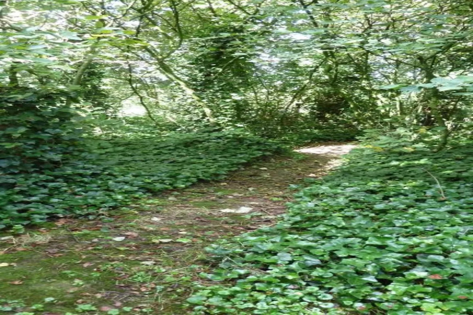 Verblijfpark Breebos 3-Areas within 20km in summer