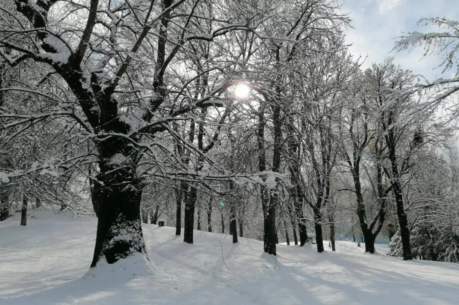 Le Plejadi Bilo 2 sr-Area within 20km in winter