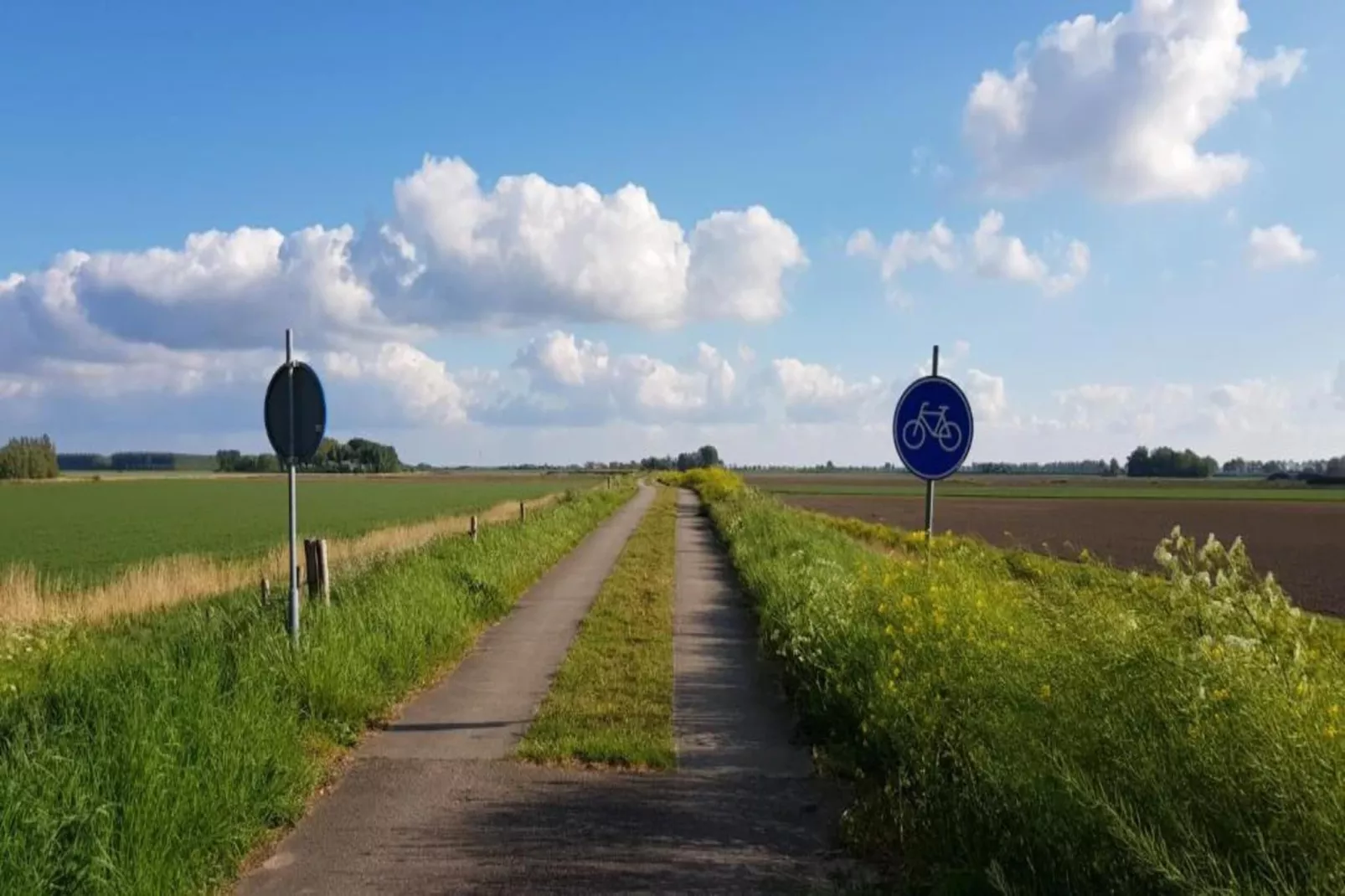 Strandloper 129-Areas within 20km in summer