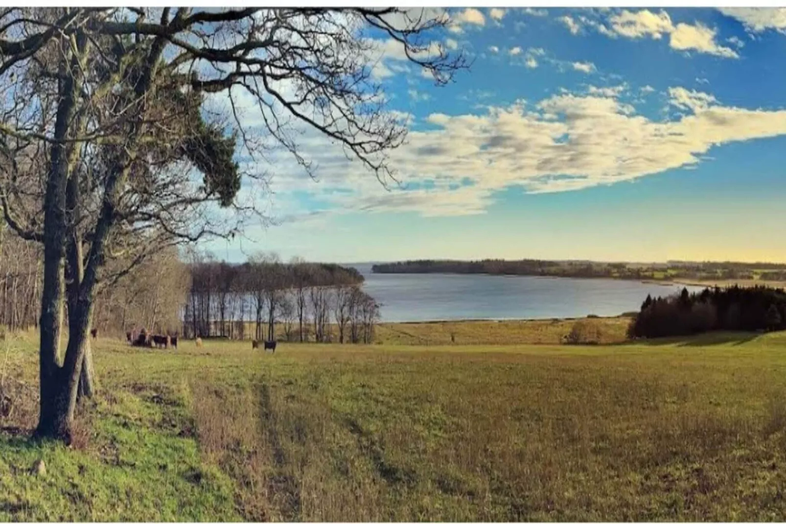 Maison de vacances pour 4 a Holbæk-By Traum-Non tagué
