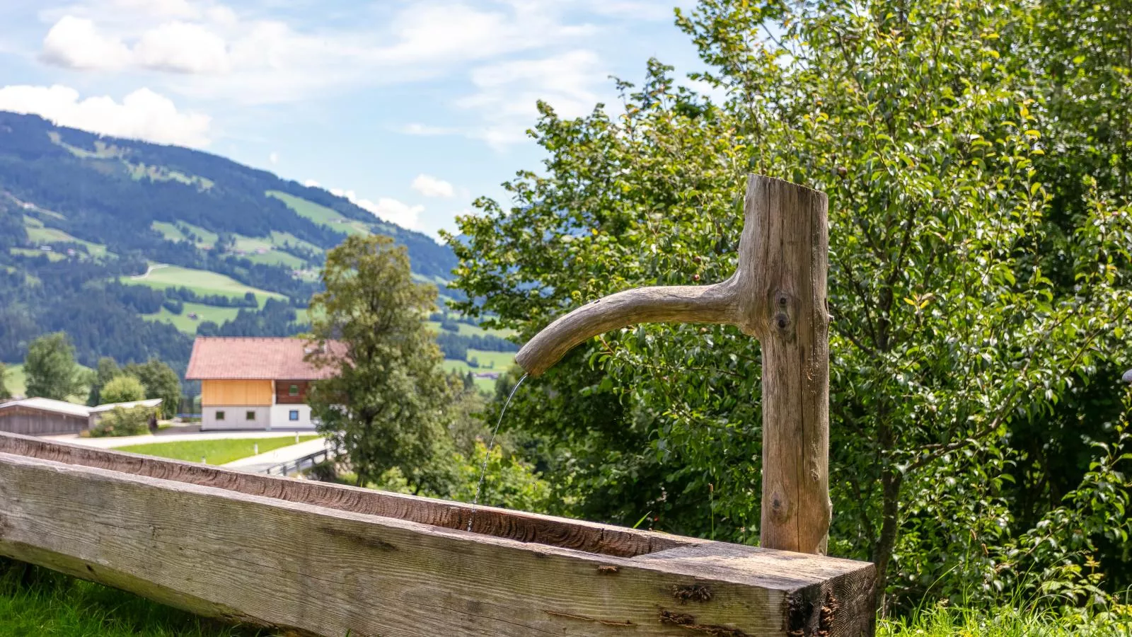 Schöne Aussicht-Gardens in summer