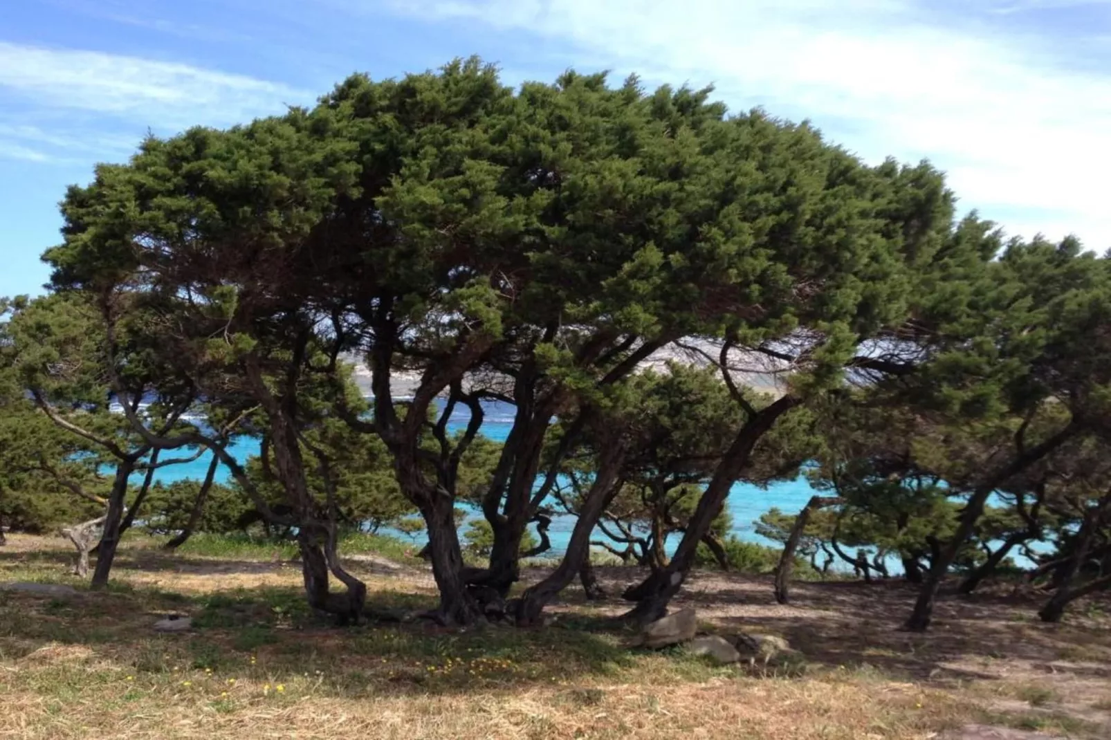 Villa la Fata-Areas within 20km in summer