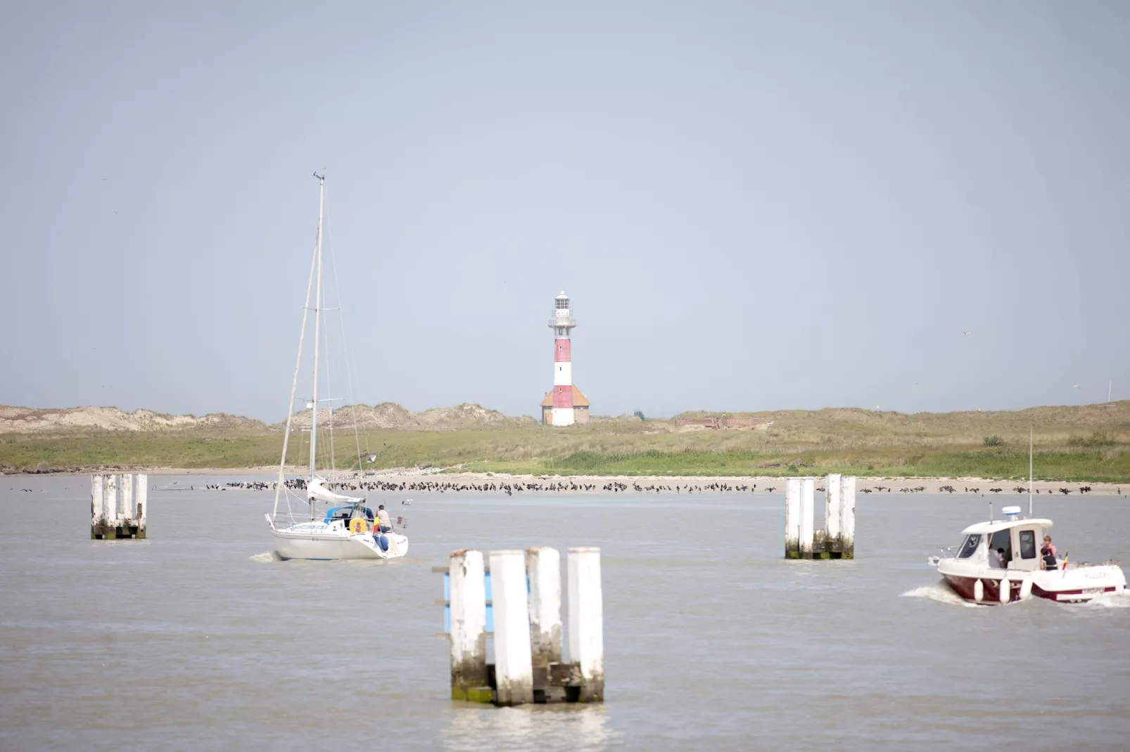 VIKING 501-Gebiete Sommer 20 km