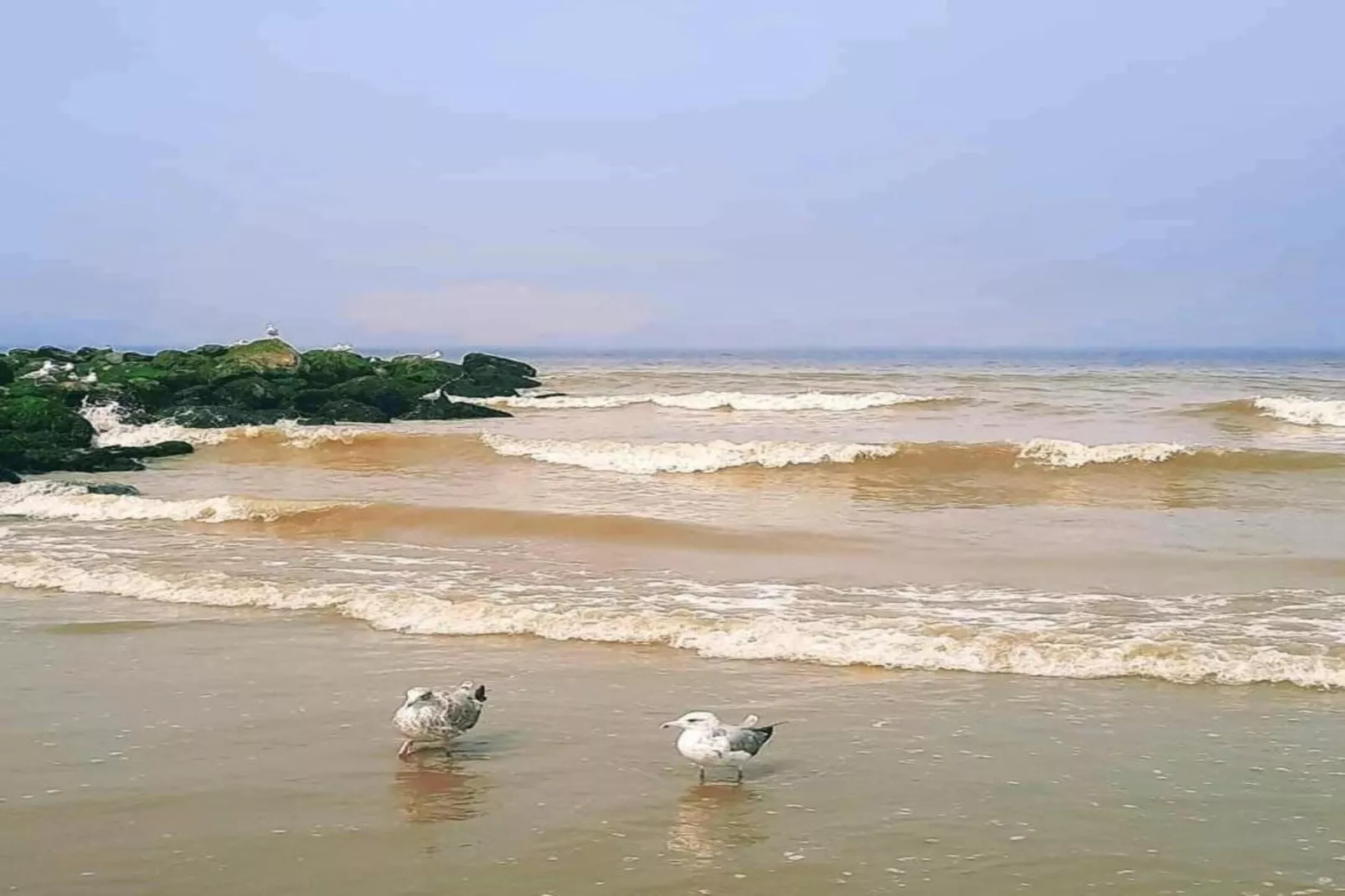 WESTDIEP 4/0701GAR-Zones été à 20 km