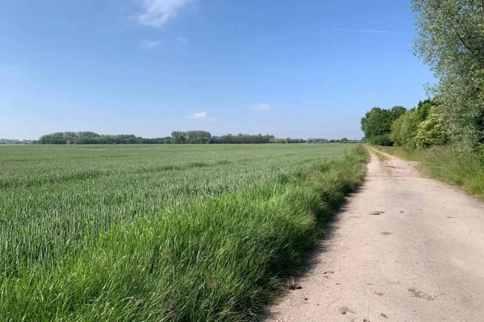 ZEPHIR 25/0104GAR-Areas summer 20km