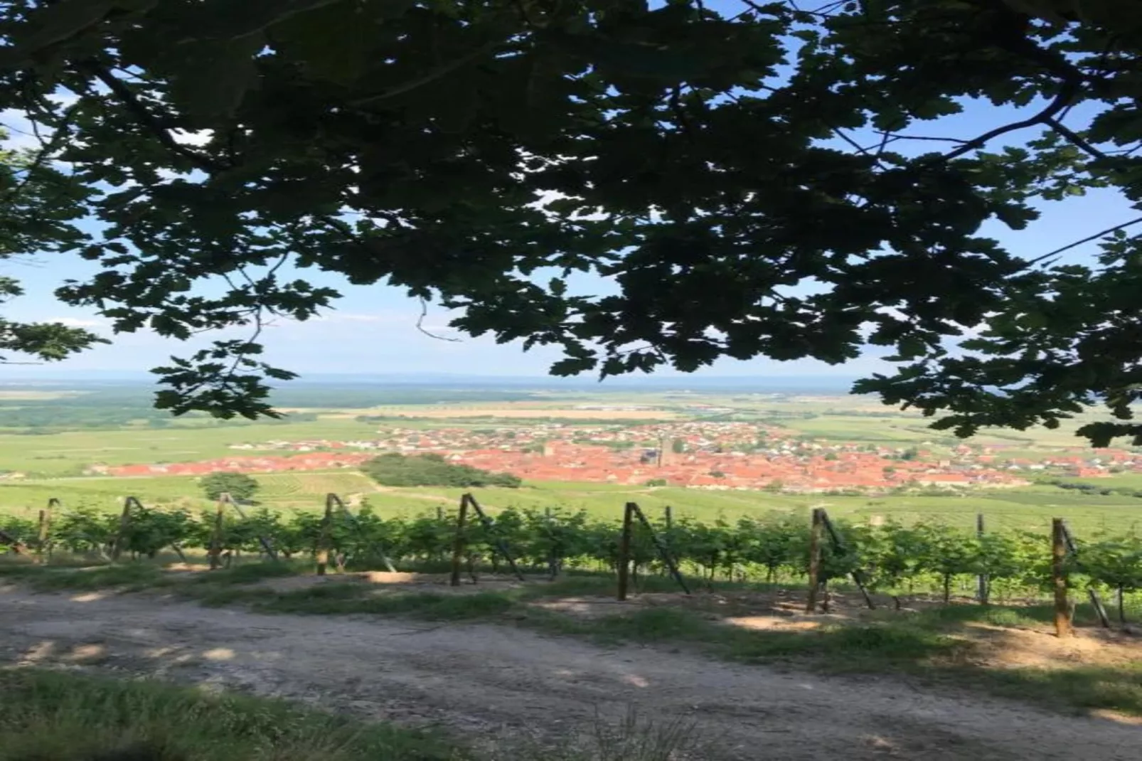 Magnifique Appartement Alsacien-Areas within 20km in summer