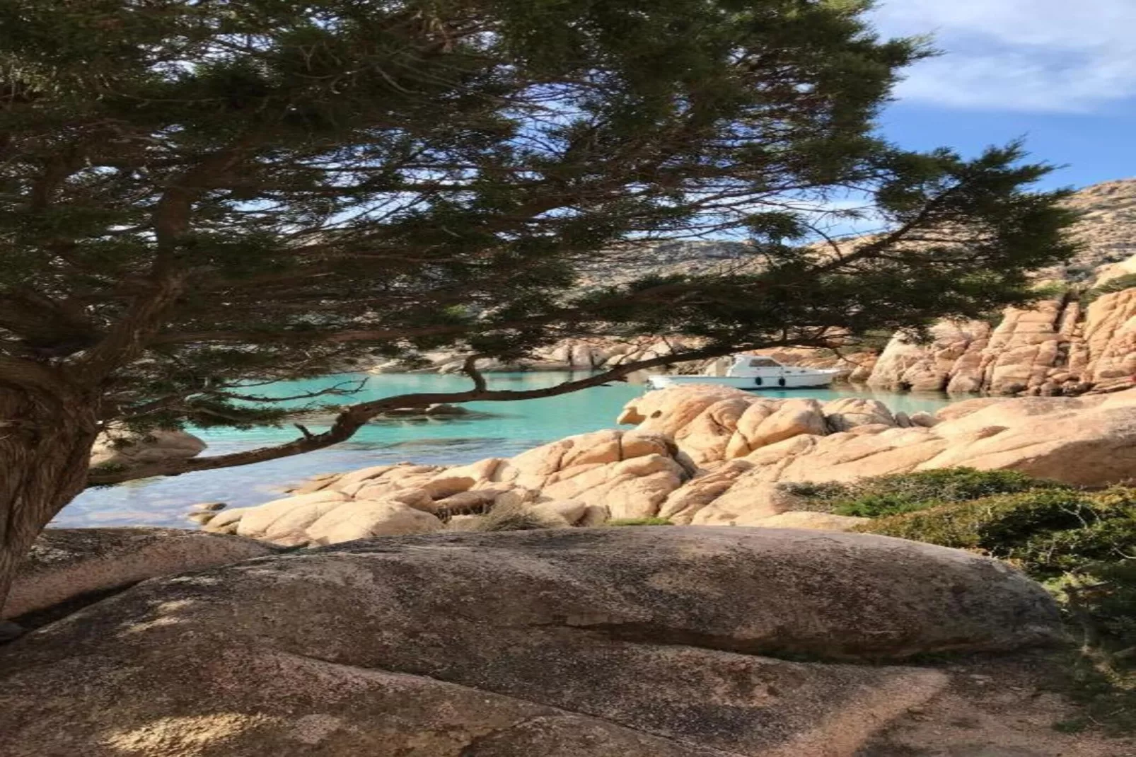 Bilo Caraibi 2-Areas within 20km in summer