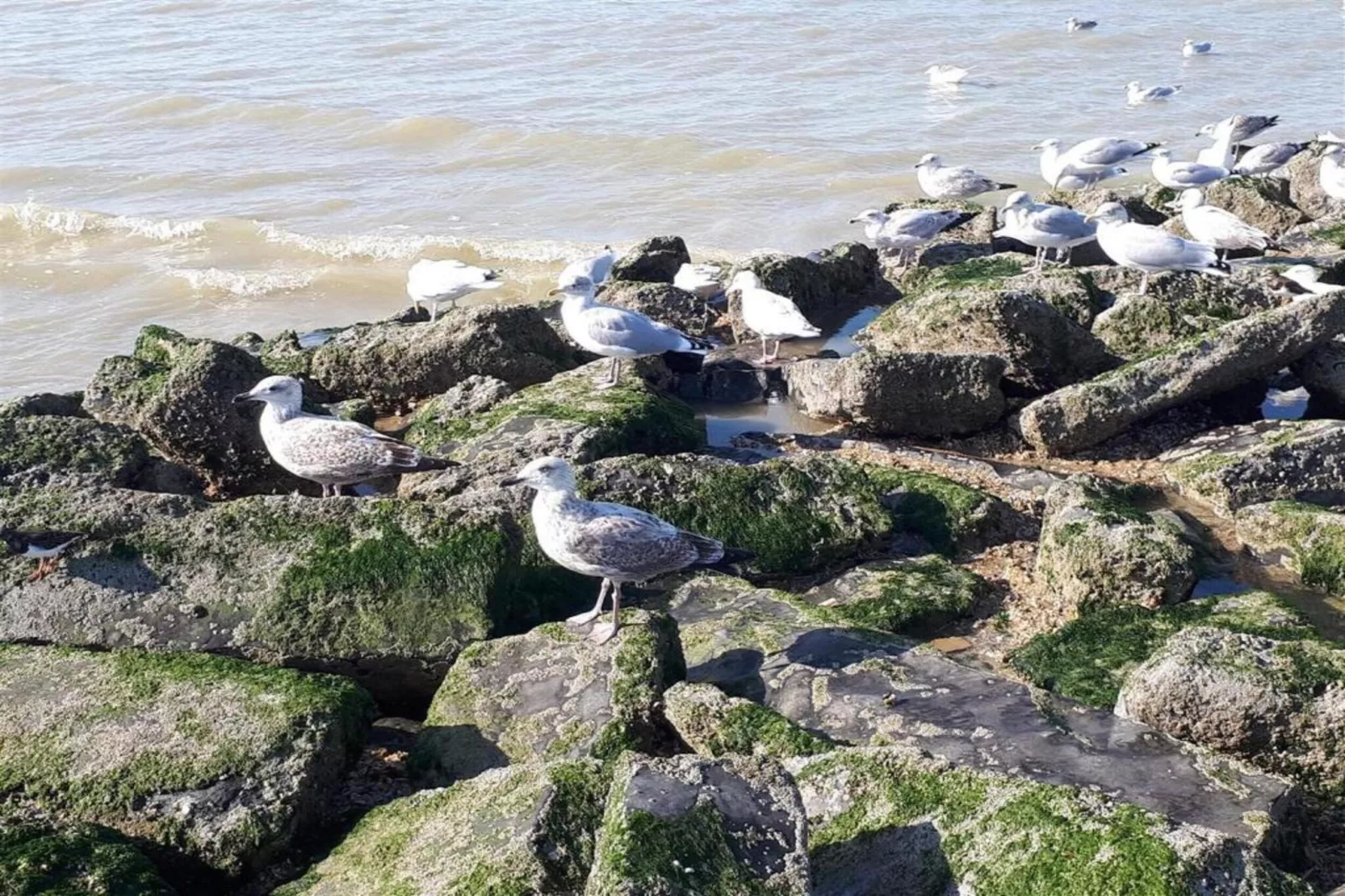 Villa Morgenlicht-Gebiete Sommer 1 km