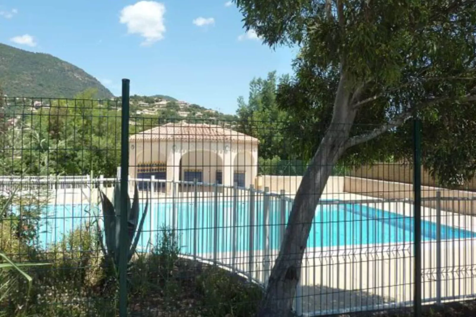 225197-Piscine