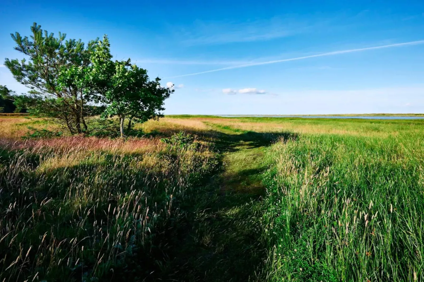 4 Sterne Ferienhaus in Hals-By Traum-Wasserblick