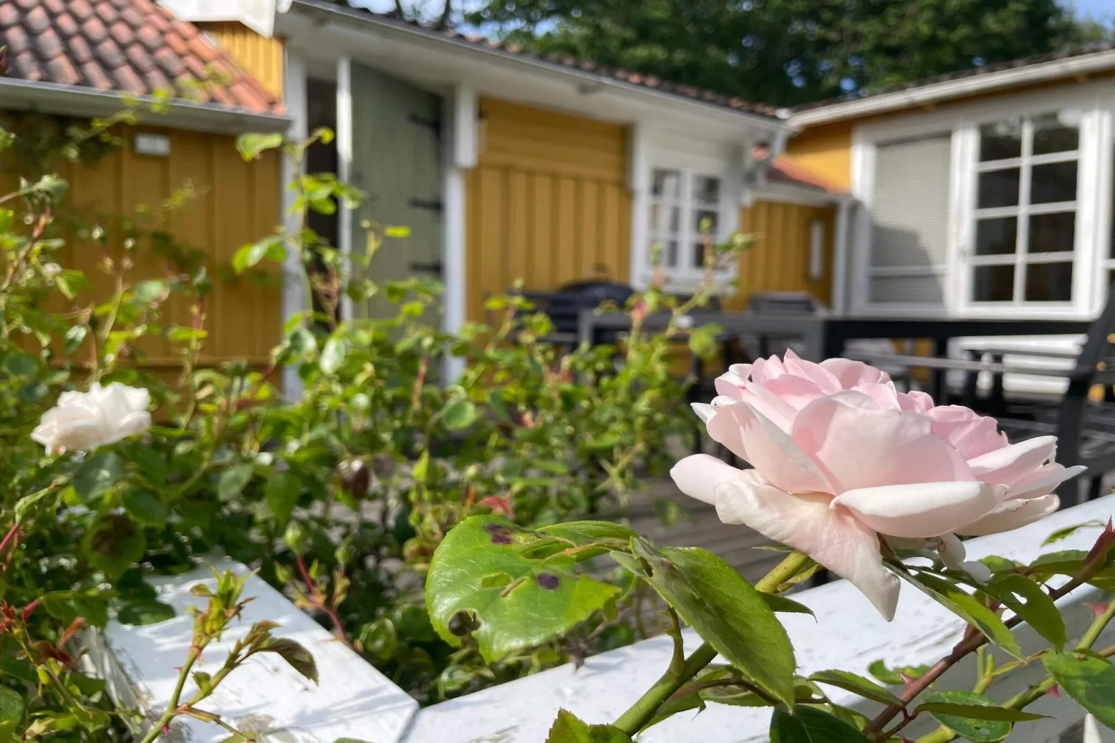 Maison de vacances pour 7 a RAMDALA-Extérieur