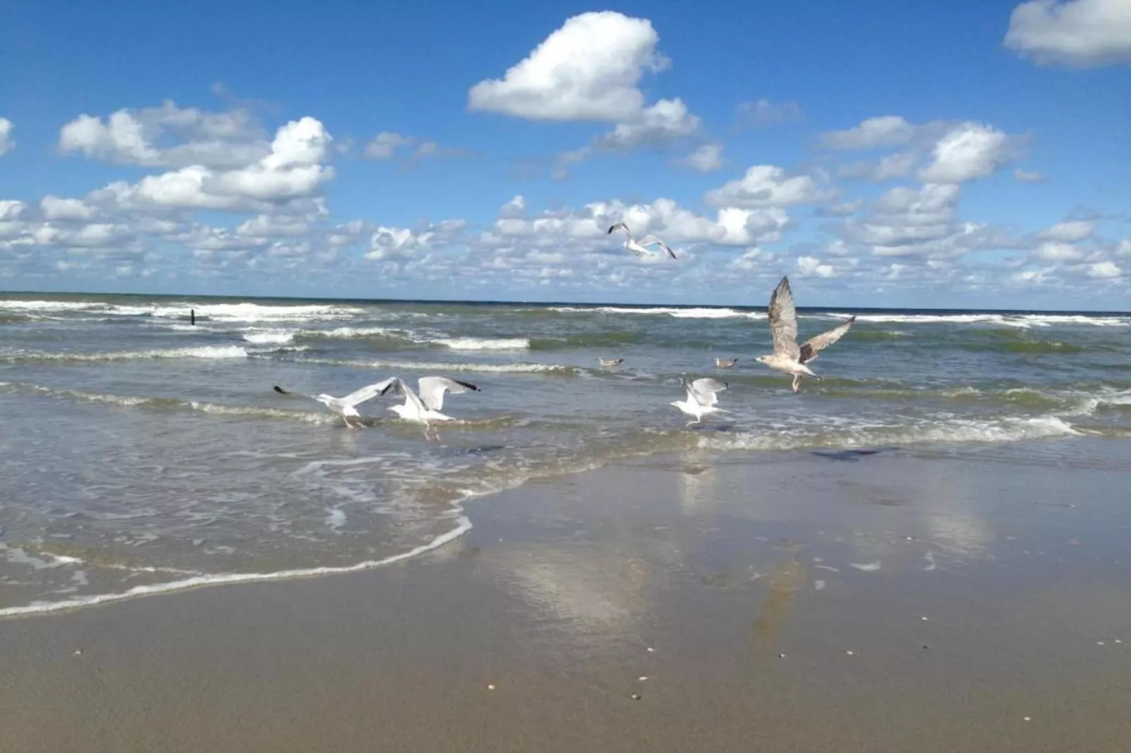 Strandpark Vlugtenburg 8 - Zones été à 20 km