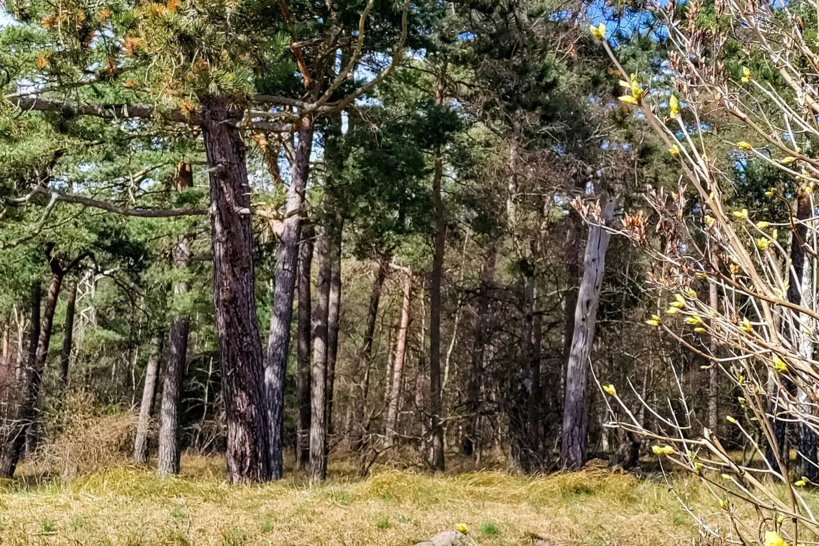 6 person holiday home in Højby-By Traum