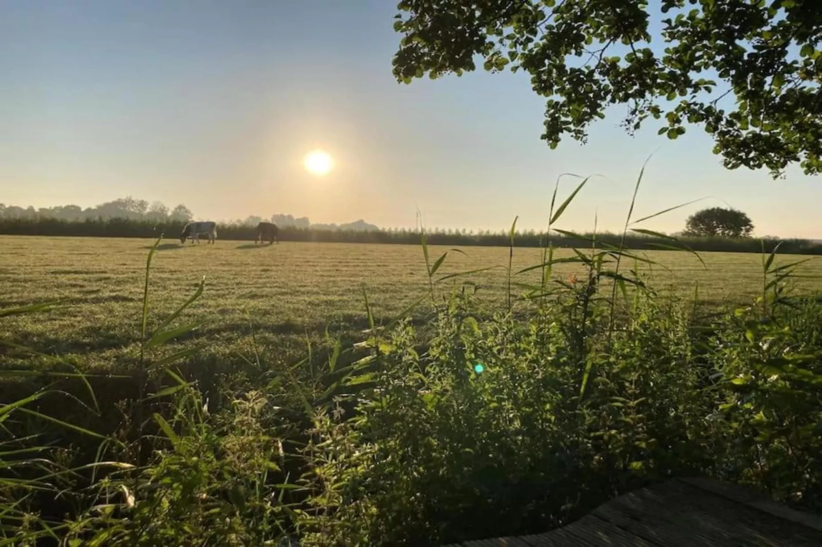 Huisje 'In de Tuin' A en B-Areas within 20km in summer