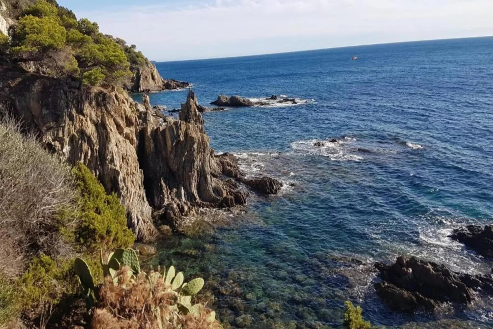 Le Riviera 4-Areas within 5km in summer