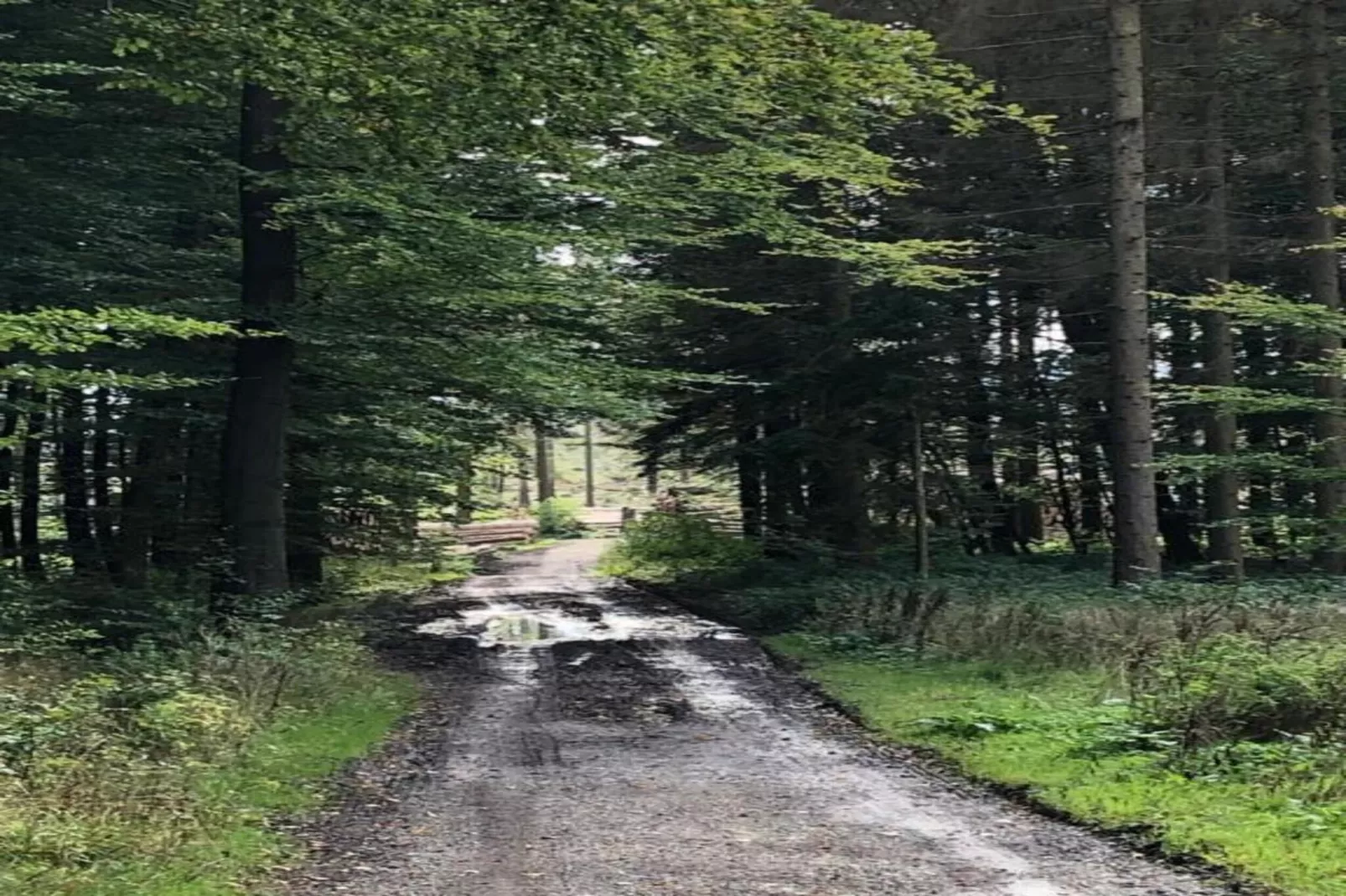 Ferienwohnung Happe-Gebiete Sommer 5 km