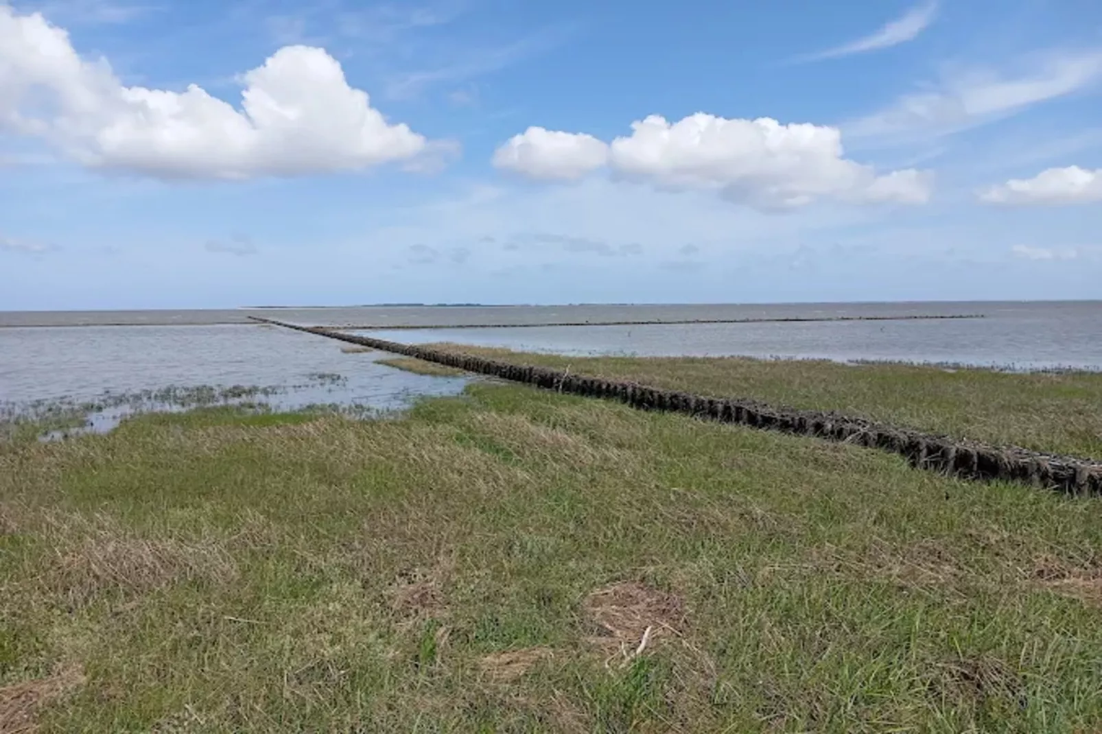 Bungalow Nordseebrise-Areas within 1km in summer