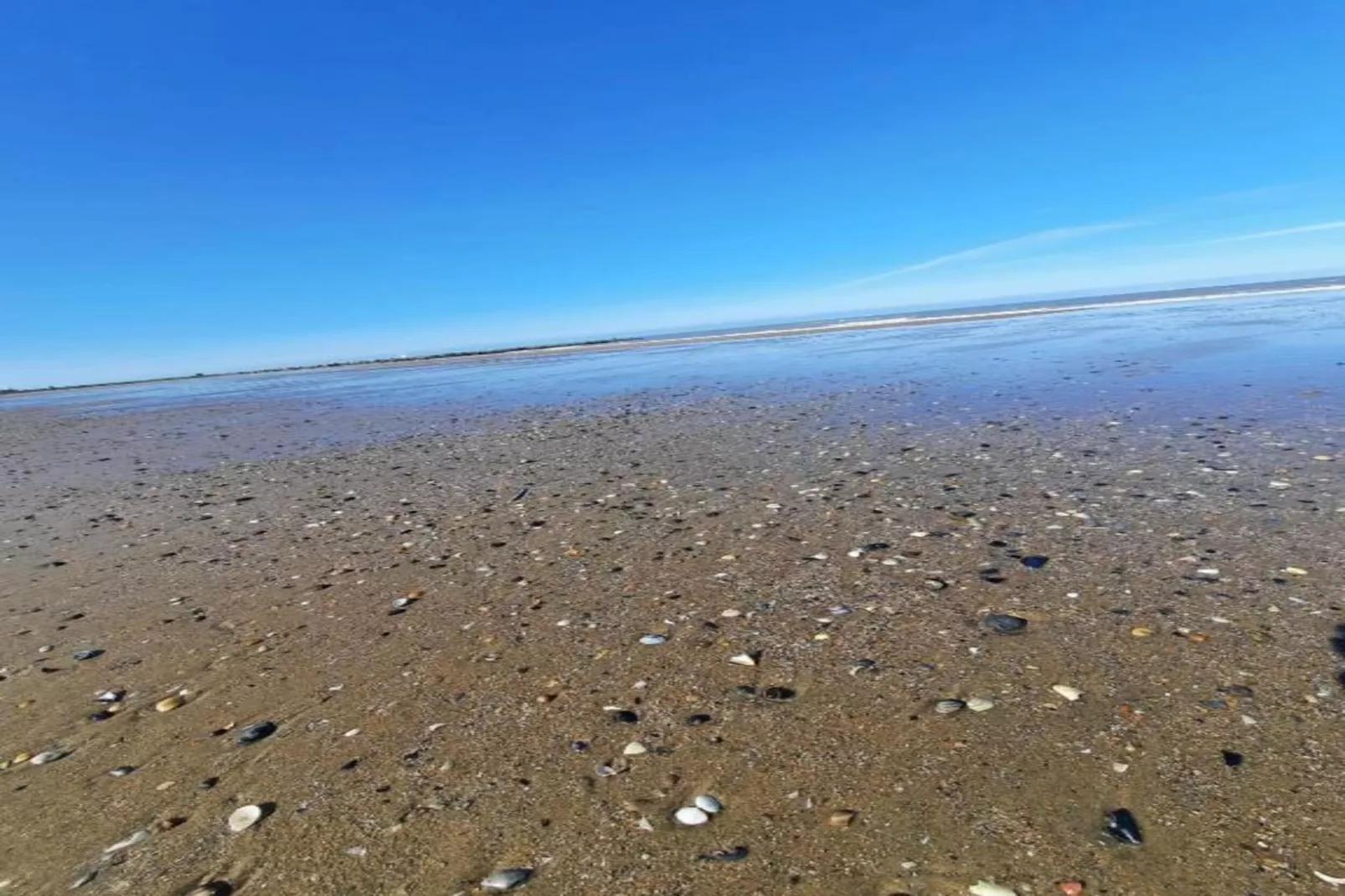 La Caravelle-Areas within 1km in summer