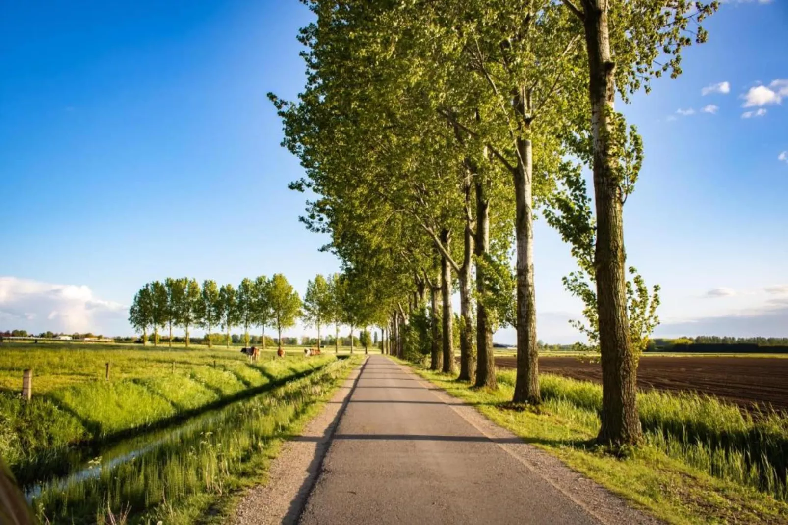 Halseweg 54-Areas within 20km in summer