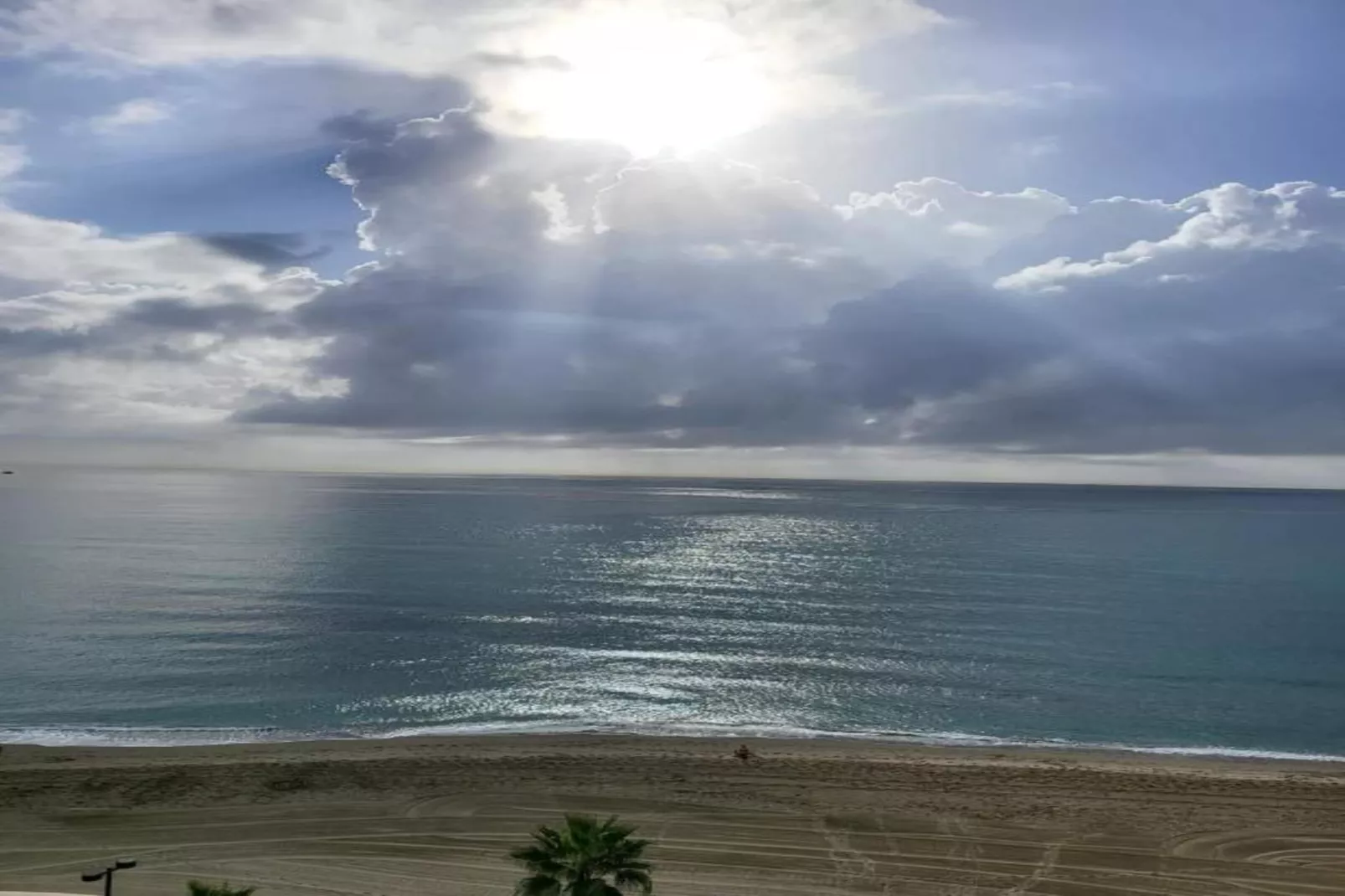 Bella Vista-Areas within 1km in summer
