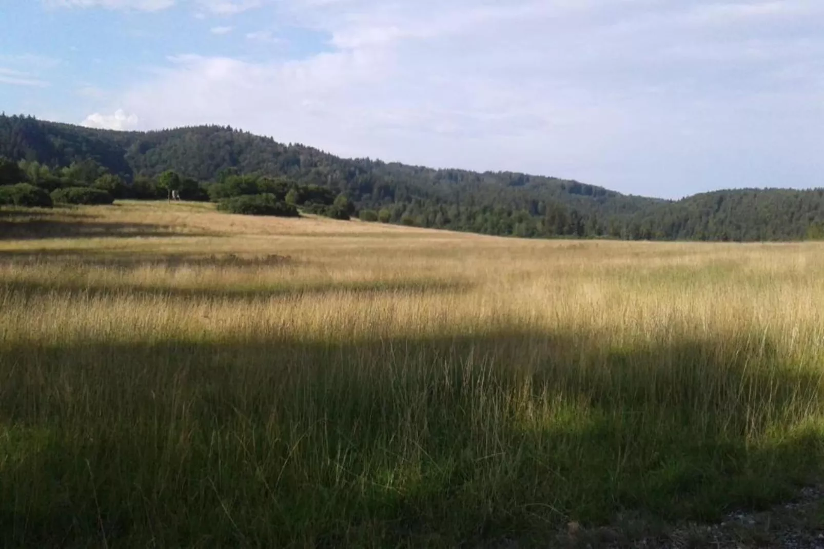Ferienwohnung Thale-Areas within 5km in summer